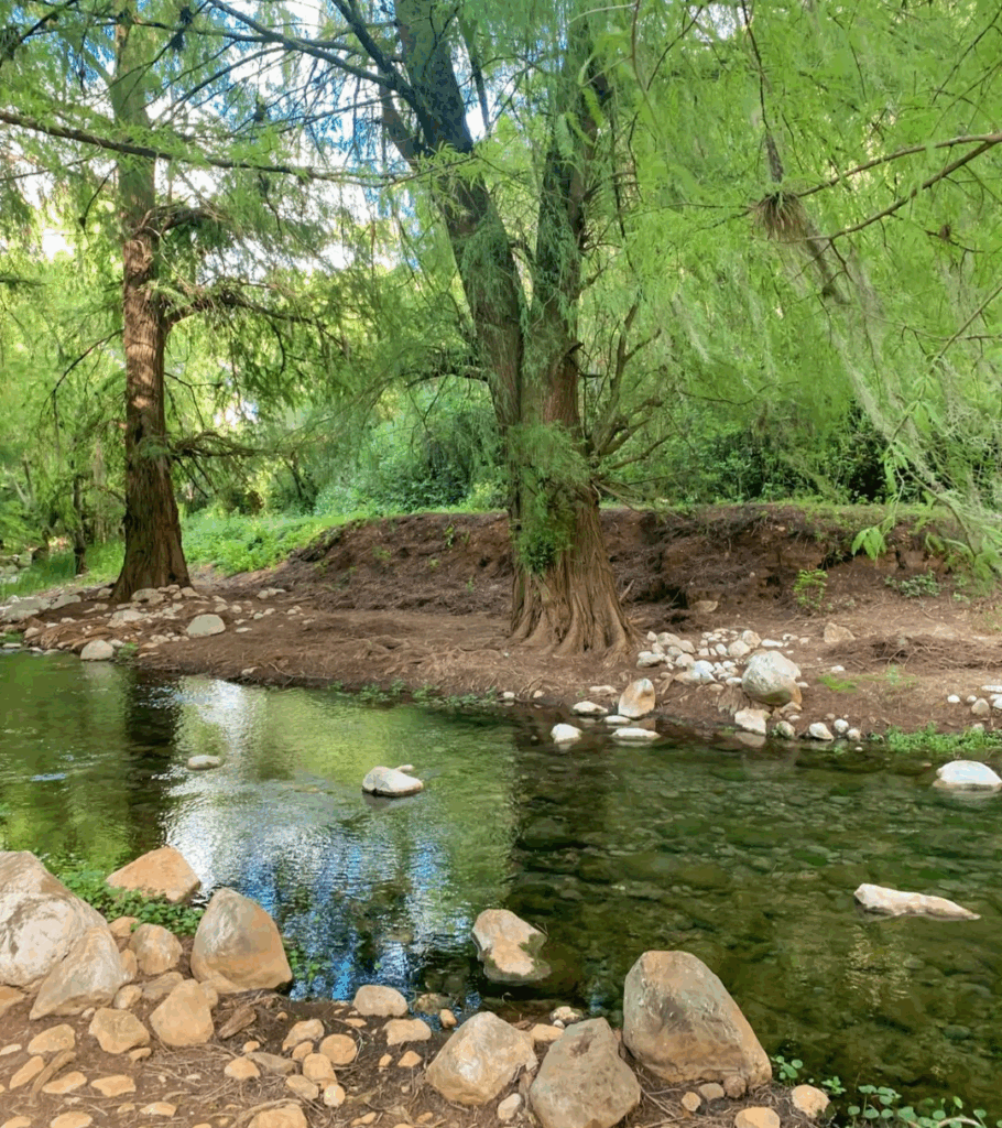 TOUR A CASCADAS DE APOALA
