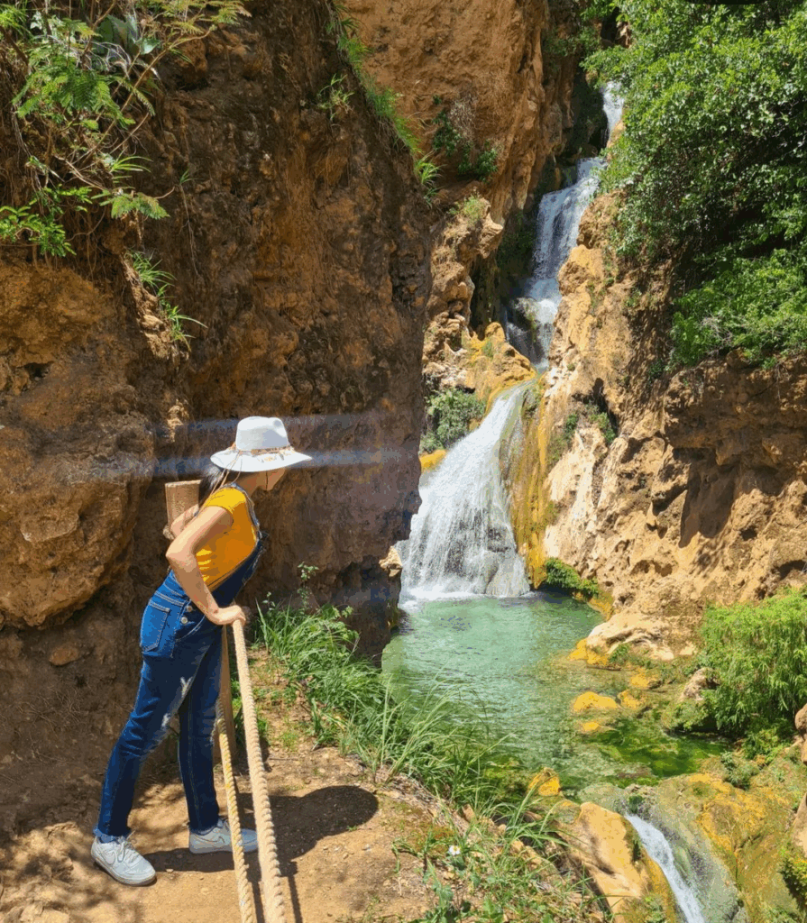 TOUR A CASCADAS DE APOALA