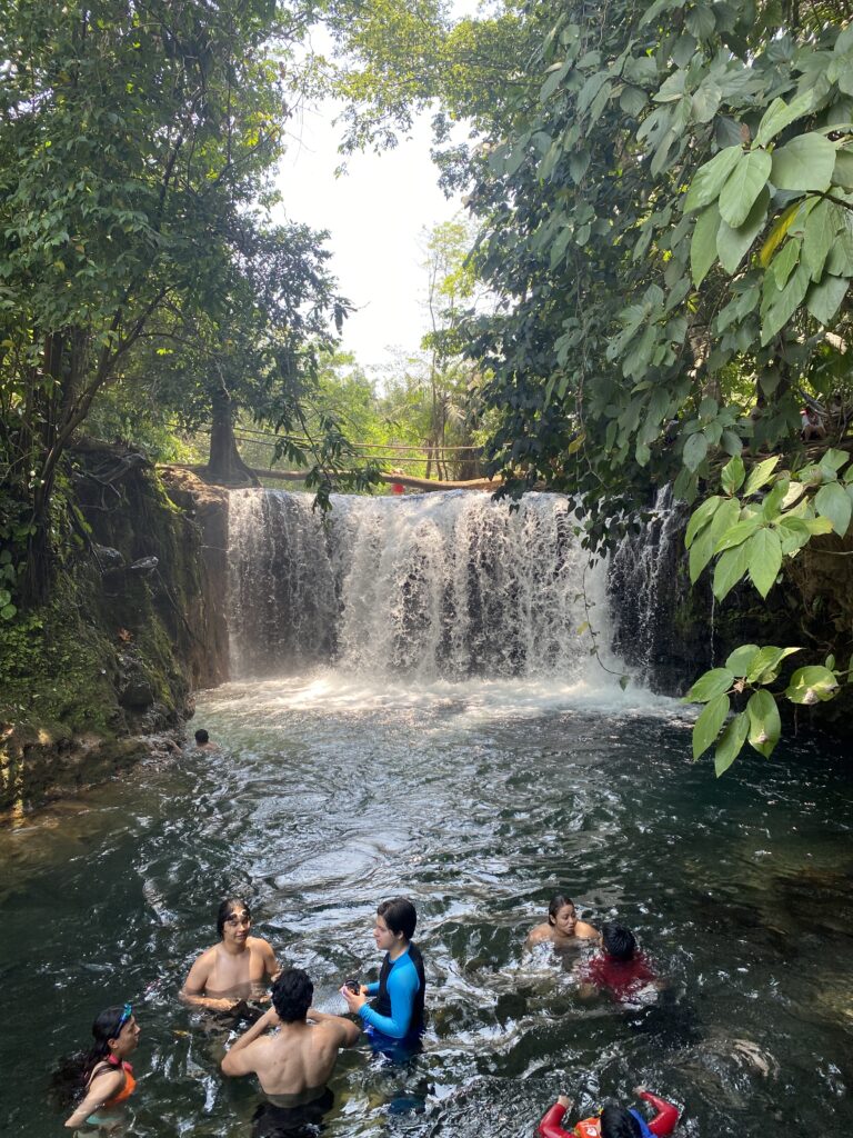 Roca Partida Los Tuxtlas