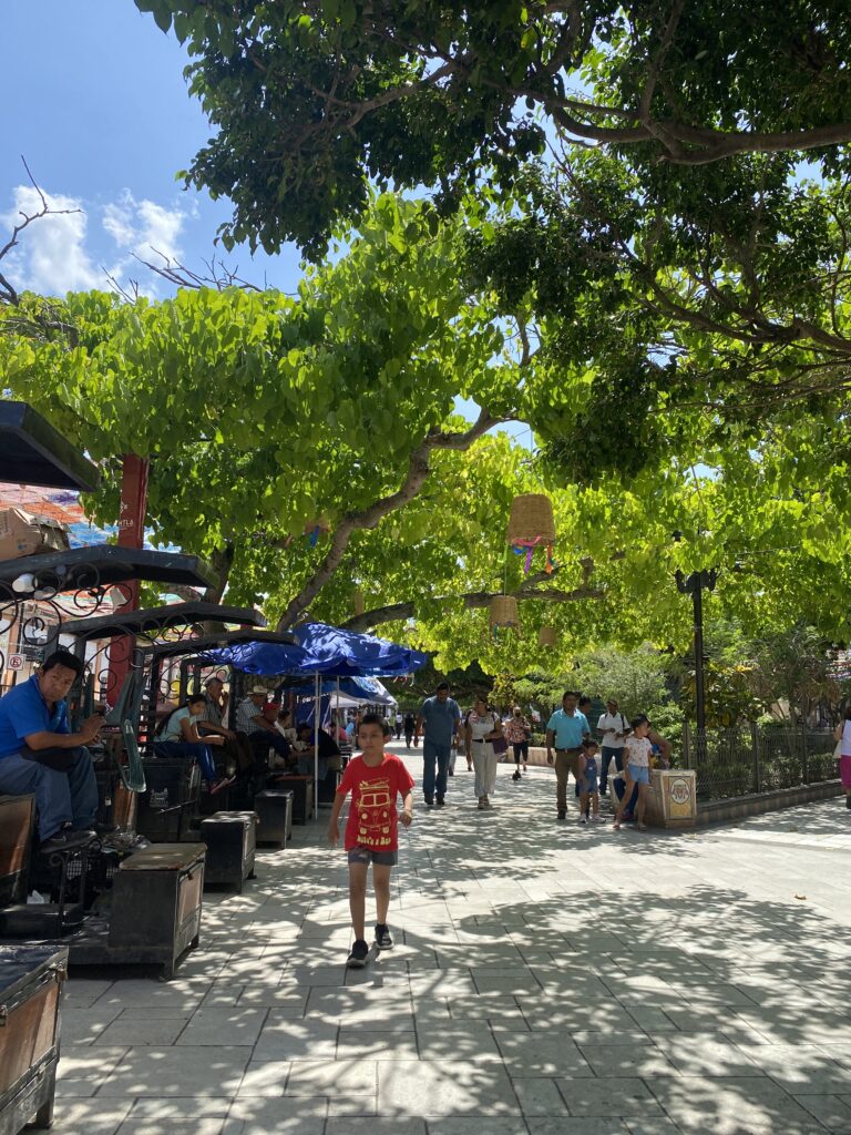 Aromas ancestrales (Tajín – Papantla)