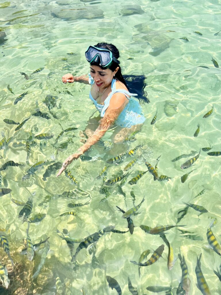 Isla de Enmedio en Veracruz