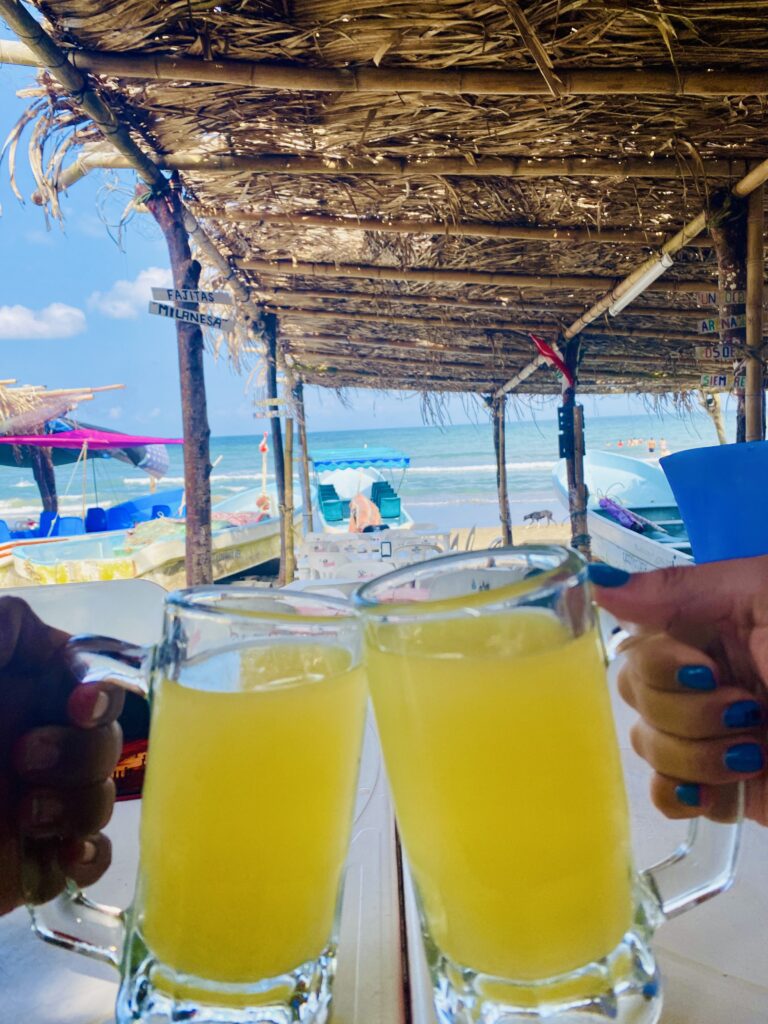 Roca Partida Los Tuxtlas